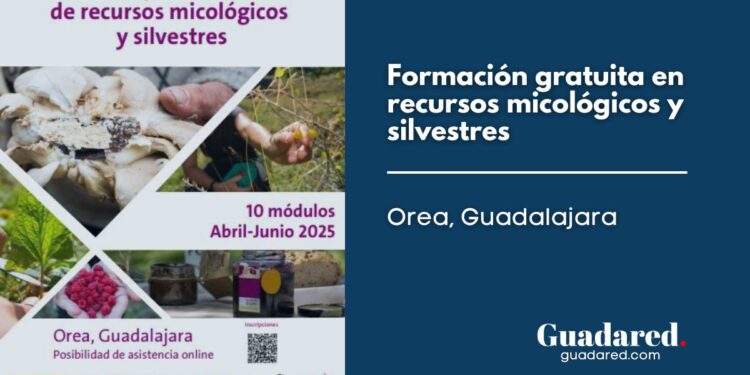 Formación Gratuita en Recursos Micológicos y Silvestres en Orea, Guadalajara