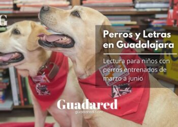 Programa R.E.A.D. en Guadalajara: sesiones gratuitas de lectura con perros para escolares