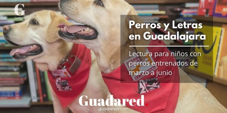 Programa R.E.A.D. en Guadalajara: sesiones gratuitas de lectura con perros para escolares