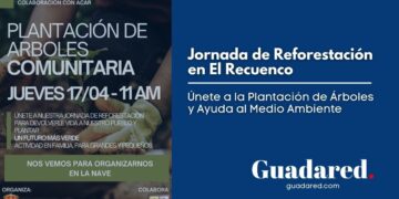 Jornada de Reforestación en El Recuenco: Únete a la Plantación de Árboles para un Futuro Más Verde