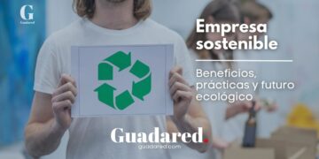 ¿Por qué ser una empresa sostenible? Beneficios y estrategias clave