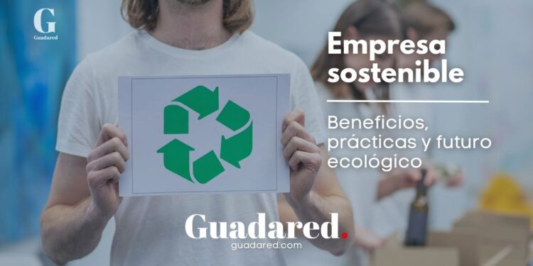 ¿Por qué ser una empresa sostenible? Beneficios y estrategias clave