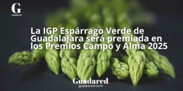 Reconocimiento al Espárrago Verde de Guadalajara como IGP destacada en Castilla-La Mancha