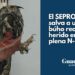 La Guardia Civil salva a una de las mayores rapaces nocturnas de Europa en Guadalajara