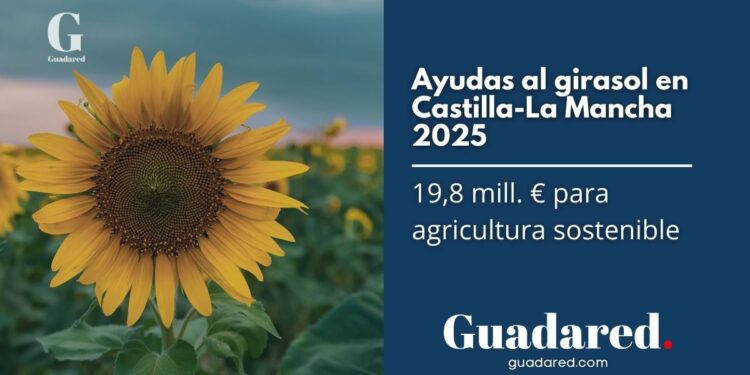 Castilla-La Mancha impulsa la agricultura sostenible con 19,8 millones en ayudas al girasol medioambiental