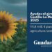 Castilla-La Mancha impulsa la agricultura sostenible con 19,8 millones en ayudas al girasol medioambiental