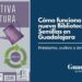 Biblioteca de Semillas en Guadalajara: un proyecto para conservar variedades locales y fomentar la soberanía alimentaria