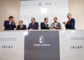 Castilla-La Mancha lanza un Plan Especial de Empleo de 3,5 millones para contratar a 375 personas en entidades sociales