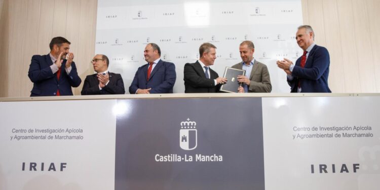 Castilla-La Mancha lanza un Plan Especial de Empleo de 3,5 millones para contratar a 375 personas en entidades sociales