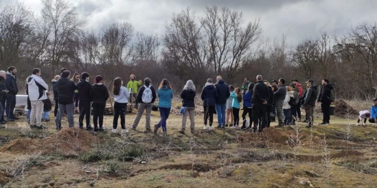 Micorriza en su 12º Aniversario: Conservación, Reforestación y Educación Ambiental en Guadalajara