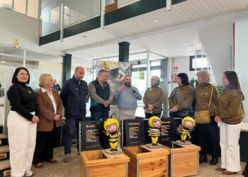 3 abejas-ninot solidarias llegan a la Alcarria