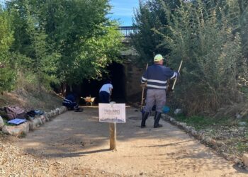 Abierto el plazo para el Plan de Empleo 2025 en Guadalajara: 100 plazas con formación y contratación temporal