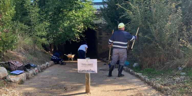 Abierto el plazo para el Plan de Empleo 2025 en Guadalajara: 100 plazas con formación y contratación temporal