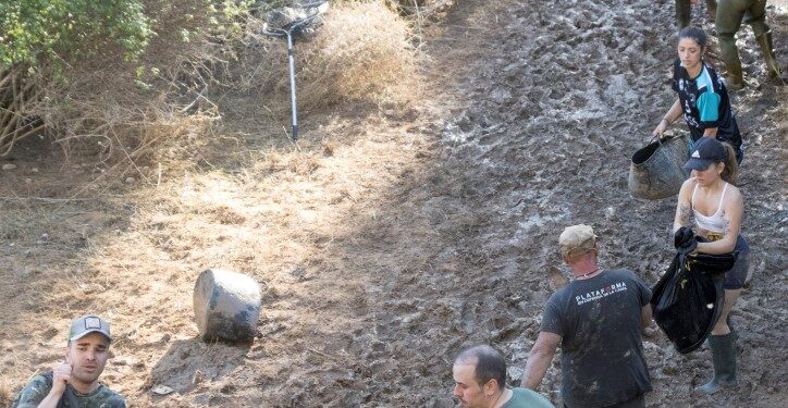 Emergencia ambiental en Sacedón: miles de carpas atrapadas tras cierre del canal Entrepeñas-Buendía