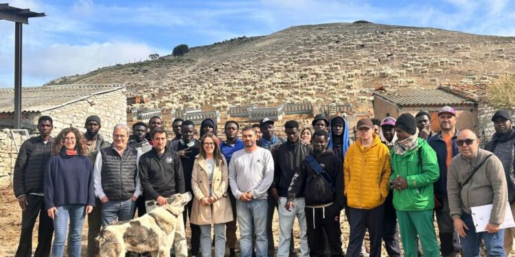 Escuela de Pastores en Castilla-La Mancha 2025, formación ganadera y ayudas PAC