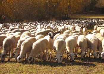 Rebaja histórica del IRPF para el campo: menos impuestos para agricultores y ganaderos en 2024