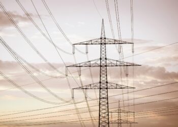 Cómo afectó el apagón eléctrico al sector agropecuario en España