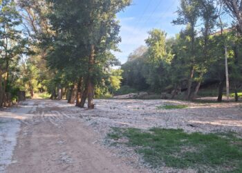 Alerta roja por alta concentración de polen en Espinosa de Henares: consejos para evitar síntomas de alergia primaveral