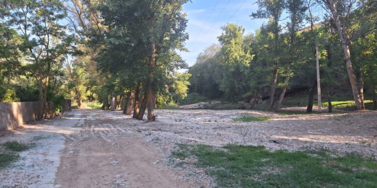 Alerta roja por alta concentración de polen en Espinosa de Henares: consejos para evitar síntomas de alergia primaveral