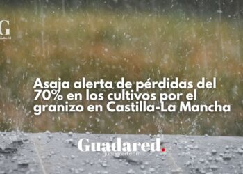 El granizo deja daños millonarios en Albacete, Toledo y Guadalajara, según Asaja CLM
