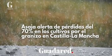 El granizo deja daños millonarios en Albacete, Toledo y Guadalajara, según Asaja CLM