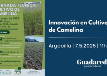 Jornada Técnica en Argecilla sobre el Cultivo de Camelina: Alternativa para Secano y Mercado de Aceites Vegetales