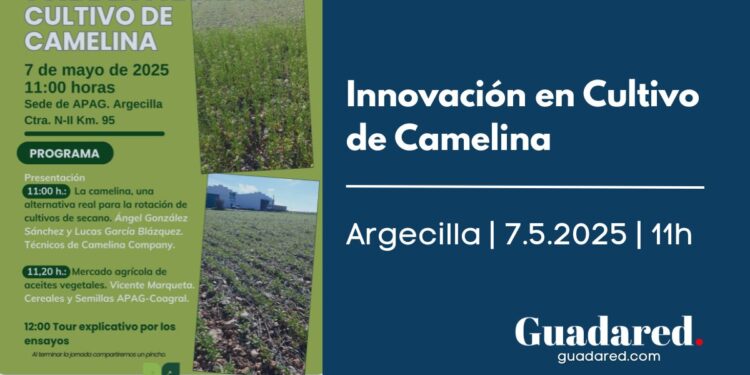 Jornada Técnica en Argecilla sobre el Cultivo de Camelina: Alternativa para Secano y Mercado de Aceites Vegetales