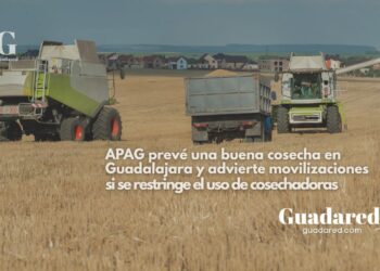 APAG prevé una buena cosecha en Guadalajara y advierte movilizaciones si se restringe el uso de cosechadoras