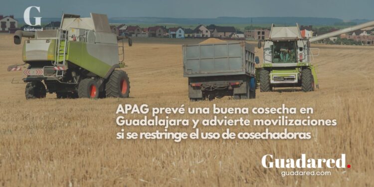 APAG prevé una buena cosecha en Guadalajara y advierte movilizaciones si se restringe el uso de cosechadoras