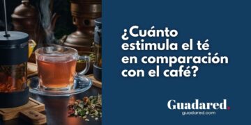 ¿A Cuántas tazas de café equivale una de té? Beneficios, riesgos y comparación