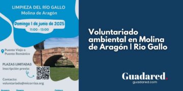 Voluntariado ambiental en Molina de Aragón: limpieza del río Gallo el 1 de junio con la Asociación Micorriza