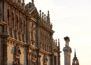 La Universidad de Alcalá reconocida por Hispania Nostra por su excelencia en preservación del patrimonio