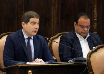 PSOE rechaza propuesta de VOX para señalizar carreteras con alta siniestralidad por animales en Guadalajara