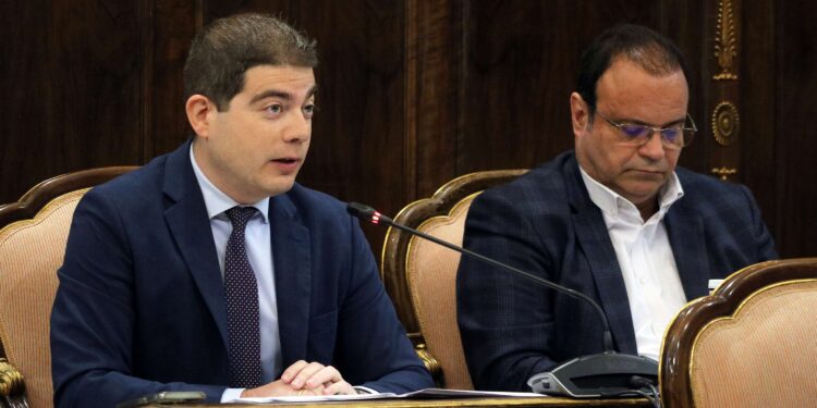 PSOE rechaza propuesta de VOX para señalizar carreteras con alta siniestralidad por animales en Guadalajara