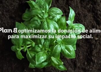 Cómo Funciona Plan B, el Proyecto que Conecta Donantes con Bancos de Alimentos