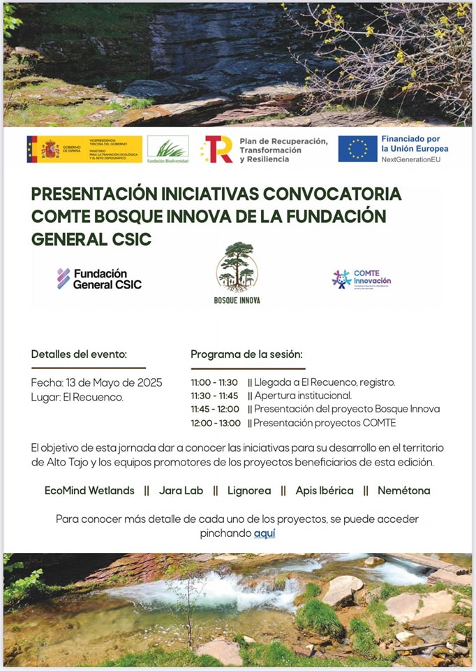 Bosque Innova en El Recuenco