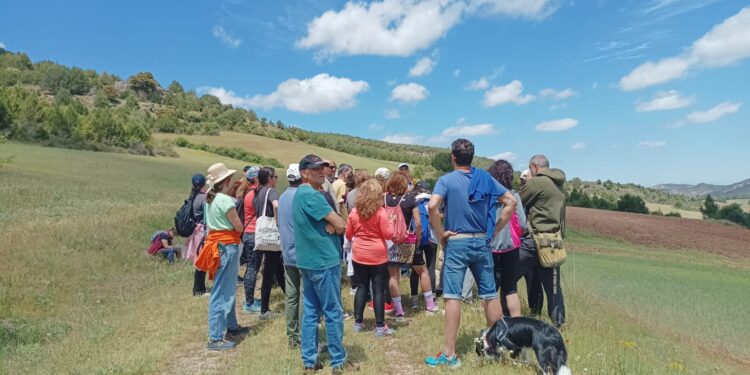 Romería Virgen de la Cabeza en Terzaga 2025 | Tradición y Naturaleza
