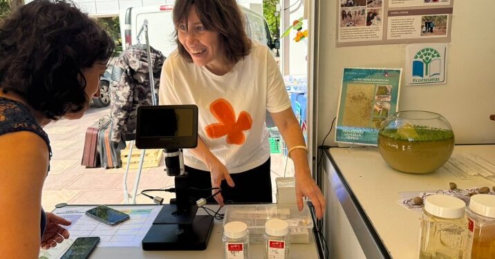 Guadalajara impulsa la sostenibilidad con la III Feria de Medio Ambiente en el Parque de la Concordia