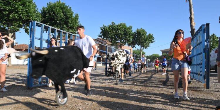 Diversión y tradición en el encierro de carretones de Yunquera de Henares 2025