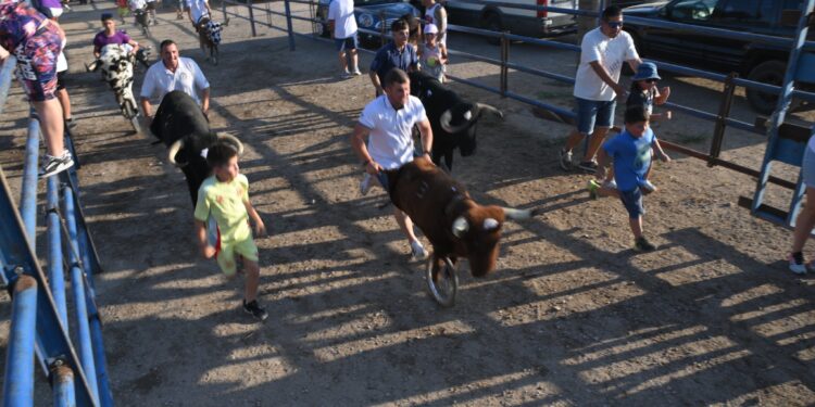 Diversión y tradición en el encierro de carretones de Yunquera de Henares 2025