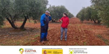 Abierta la convocatoria del Programa CULTIVA 2025 para jóvenes agricultores y ganaderos con estancias formativas gratuitas