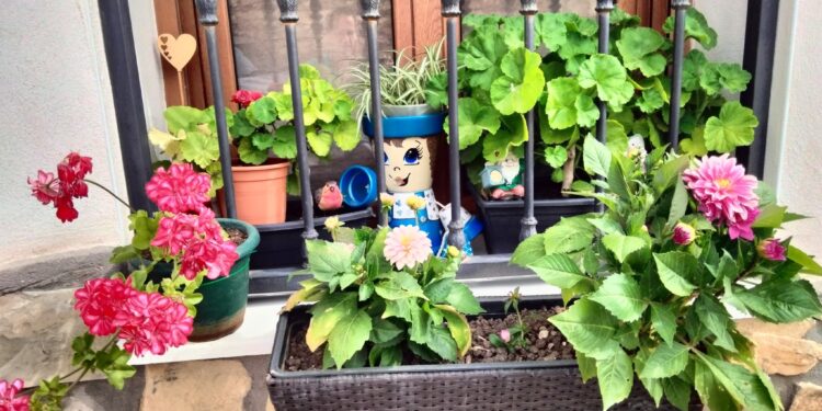 Ganadoras del IV Certamen de Fachadas Florales en Cogolludo: color, tradición y turismo