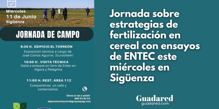 Jornada sobre estrategias de fertilización en cereal con ensayos de ENTEC este miércoles en Sigüenza