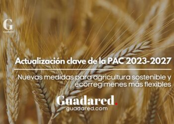 Actualización clave de la PAC 2023-2027: Nuevas medidas para agricultura sostenible y ecorregímenes más flexibles