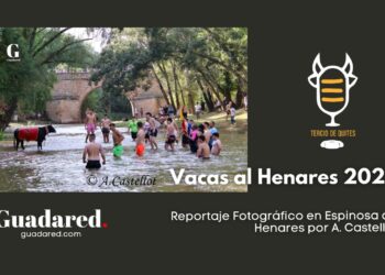 Espinosa de Henares celebra "Vacas al Henares 2025": Fotos y Momentos Captados por A. Castellot