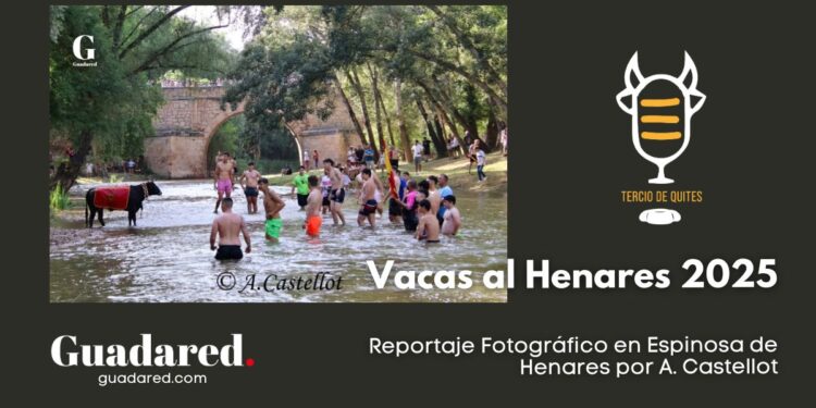 Espinosa de Henares celebra "Vacas al Henares 2025": Fotos y Momentos Captados por A. Castellot