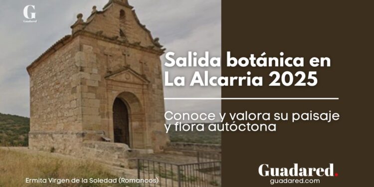 Salida botánica en La Alcarria 2025: conoce y valora su paisaje y flora autóctona