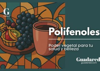 Polifenoles: qué son, beneficios para la salud, la piel y cómo incluirlos en tu dieta diaria