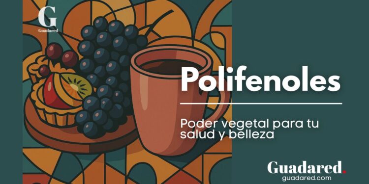 Polifenoles: qué son, beneficios para la salud, la piel y cómo incluirlos en tu dieta diaria
