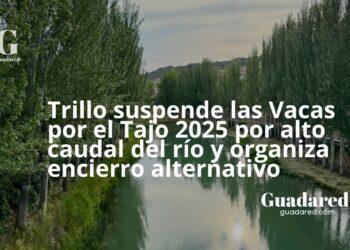 Trillo suspende las Vacas por el Tajo 2025 por alto caudal del río y organiza encierro alternativo